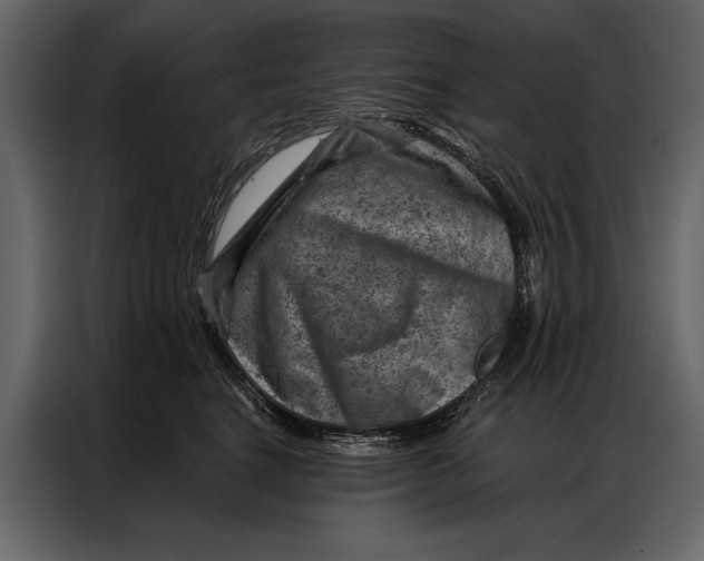 X0000087000664200705071507