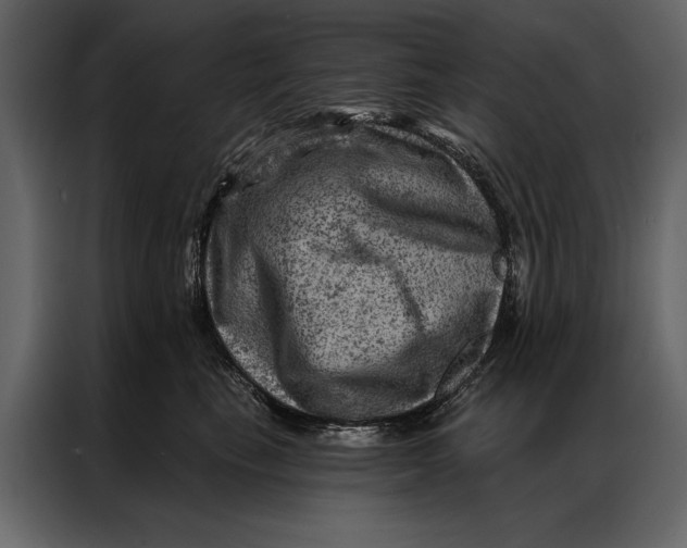 X0000087000665200705071507