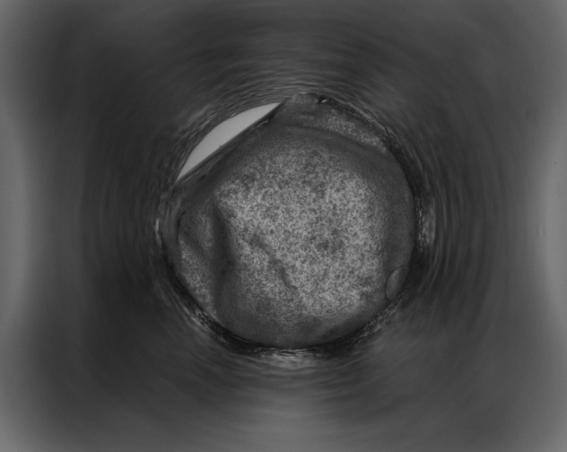 X0000087000666200705071507