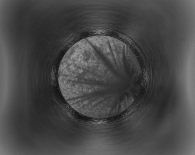 X0000087000667200705071507