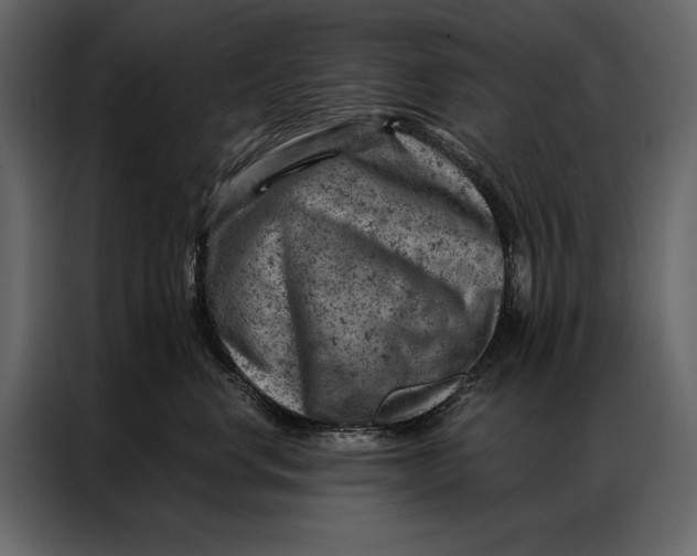 X0000087000668200705071507