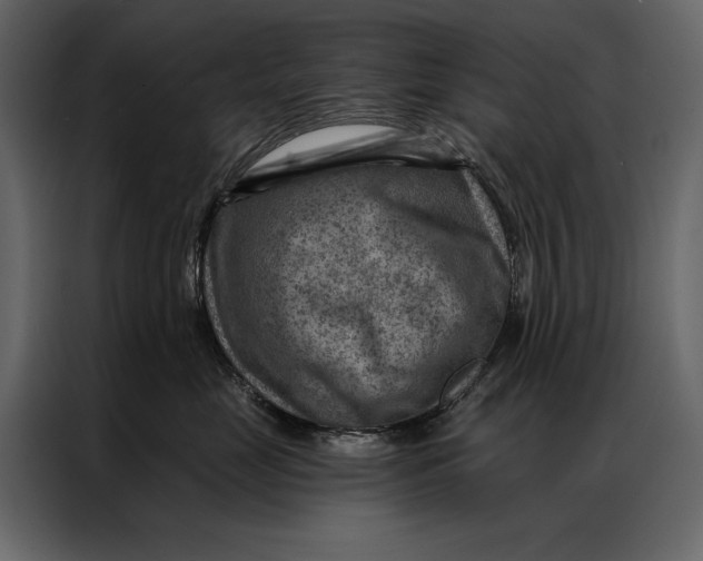 X0000087000669200705071507