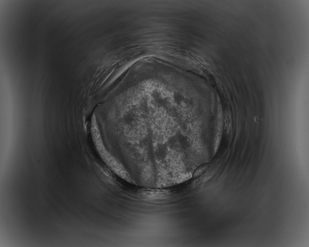 X0000087000670200705071507