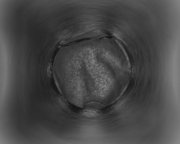 X0000087000671200705071507