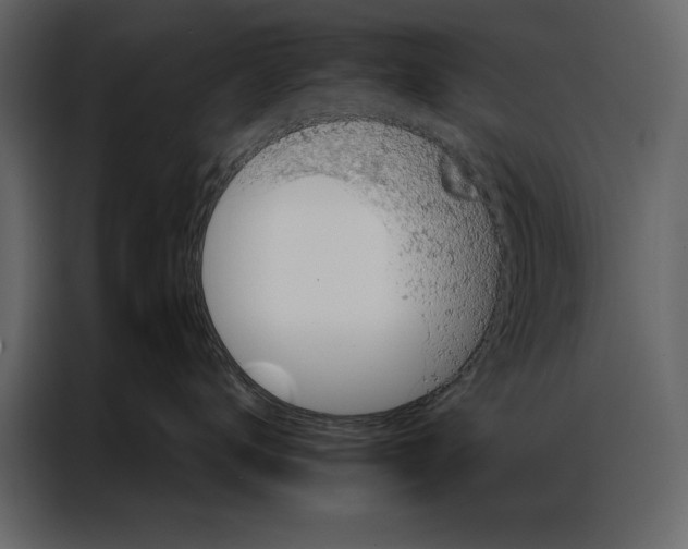 X0000087000672200705071507