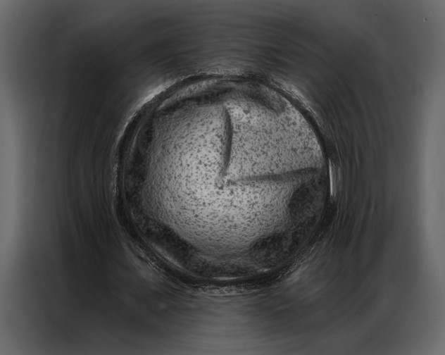 X0000087000675200705071506