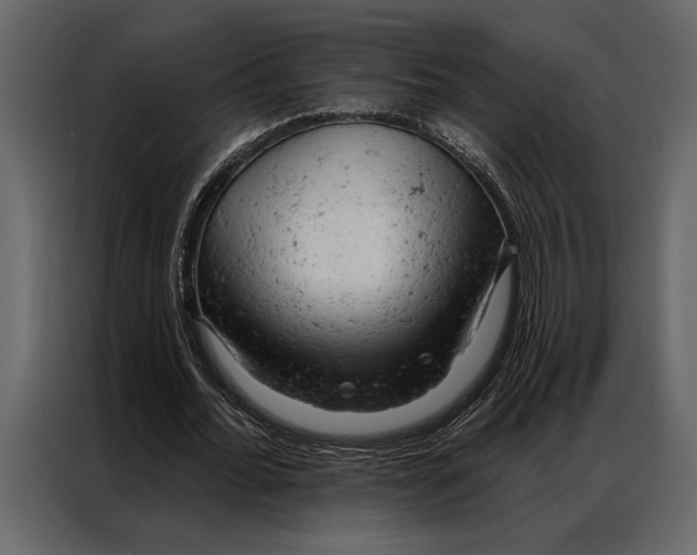 X0000087000676200705071506