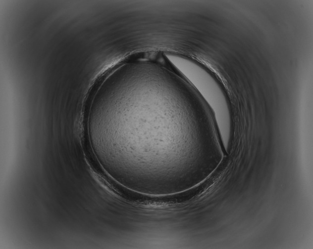 X0000087000677200705071506