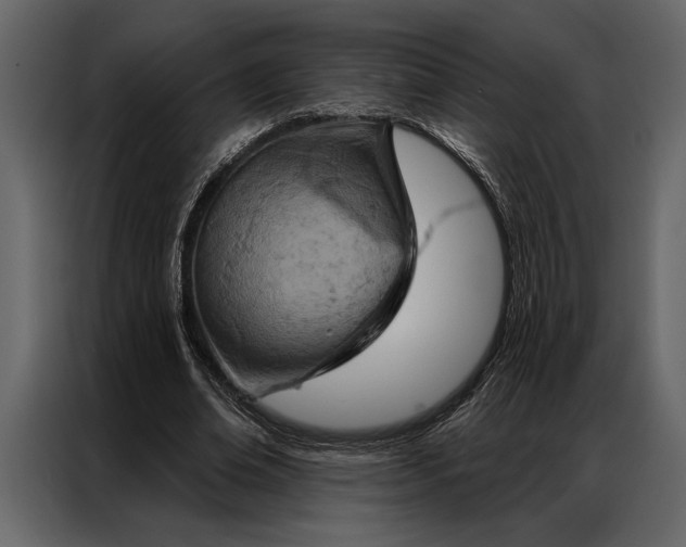 X0000087000678200705071506