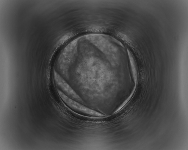 X0000087000679200705071506