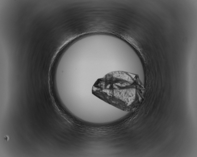 X0000087000680200705071506