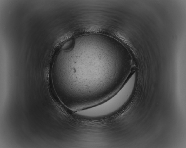 X0000087000681200705071506