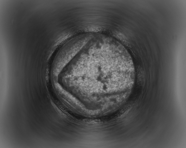 X0000087000683200705071506