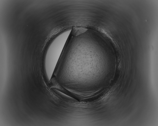 X0000087000685200705071506