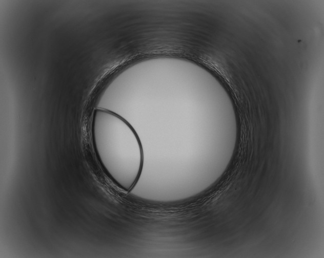 X0000087000688200705071506