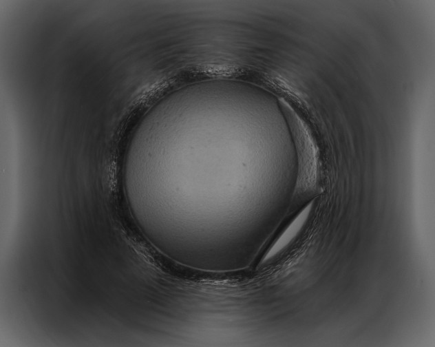 X0000087000689200705071506