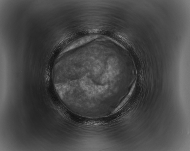 X0000087000691200705071506