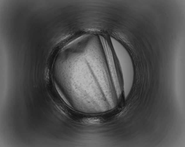 X0000087000692200705071506