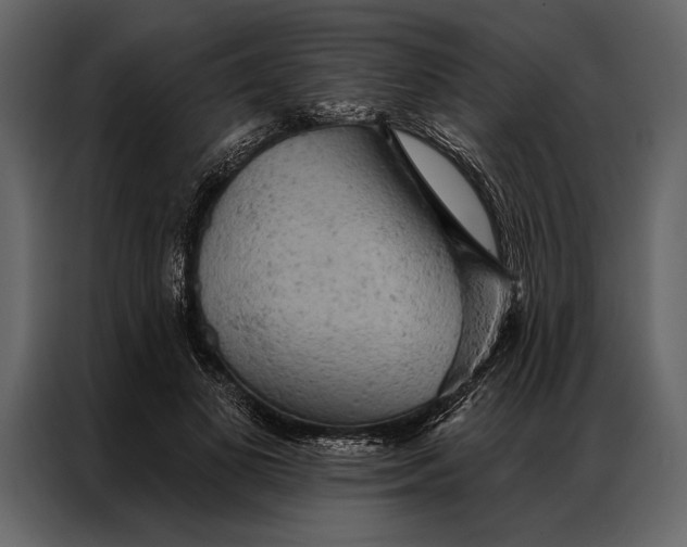 X0000087000693200705071506