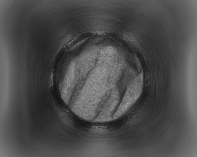 X0000087000694200705071506