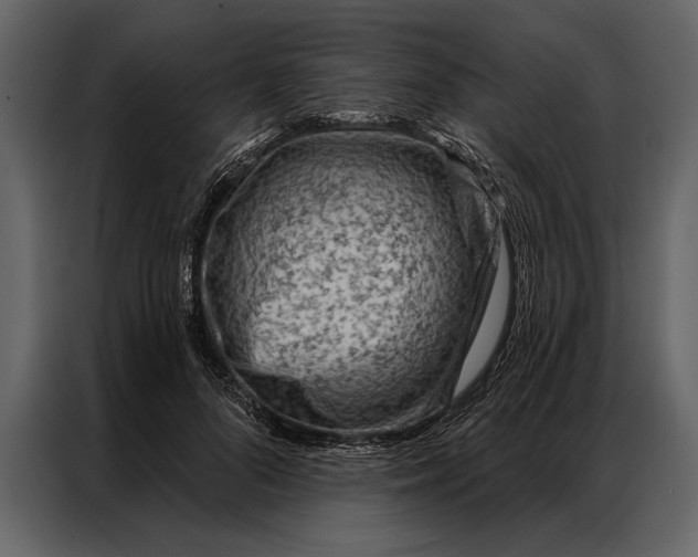 X0000087000696200705071506