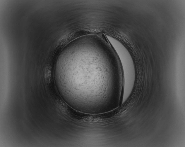 X0000087000697200705071506