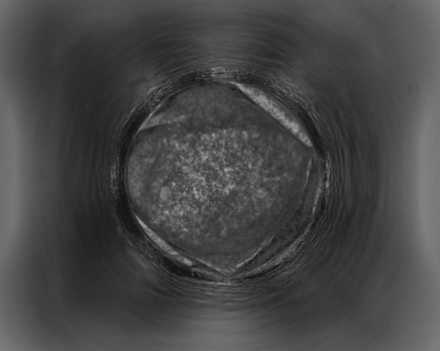 X0000087000698200705071506