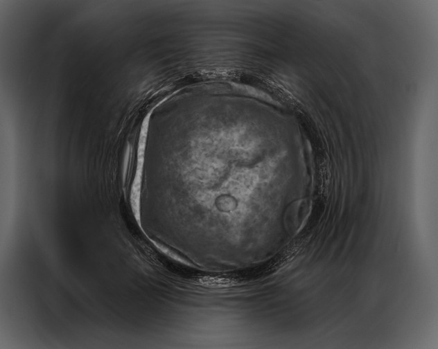 X0000087000699200705071506