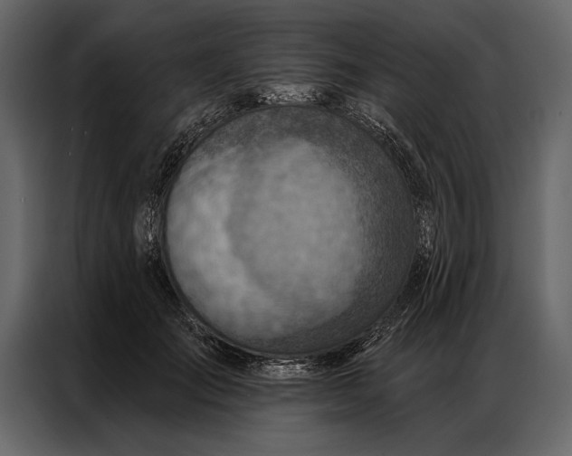 X0000087000701200705071506