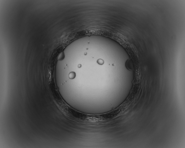 X0000087000703200705071506