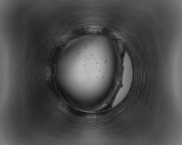 X0000087000704200705071506