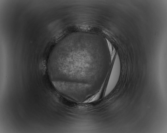 X0000087000707200705071506