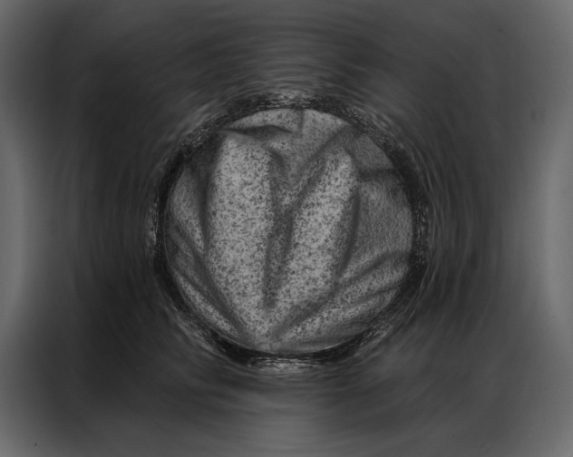 X0000087000710200705071506