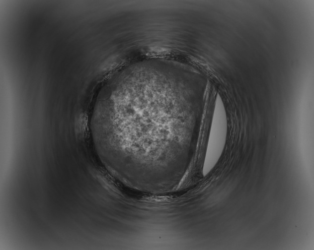 X0000087000711200705071506