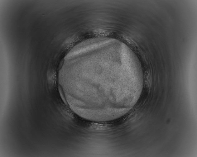 X0000087000713200705071506