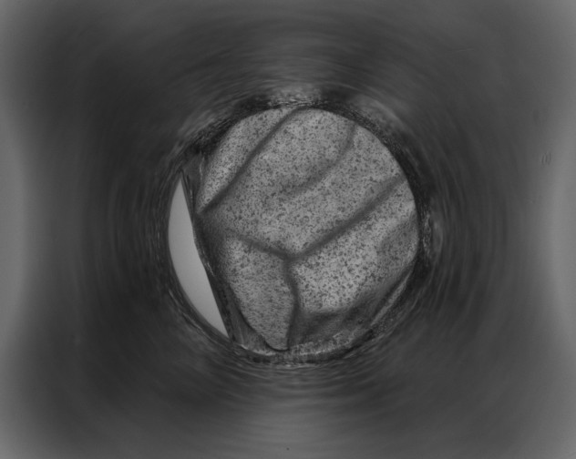 X0000087000714200705071506