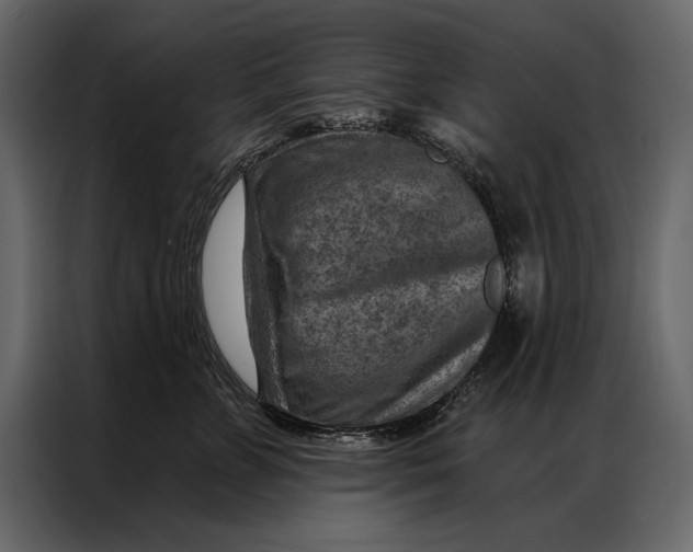 X0000087000715200705071506