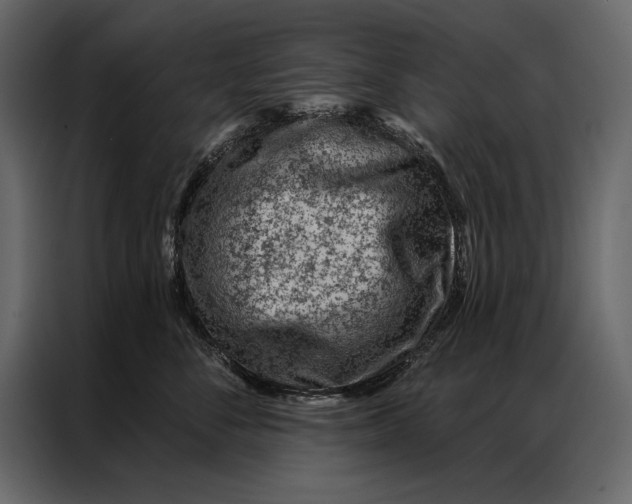 X0000087000716200705071506