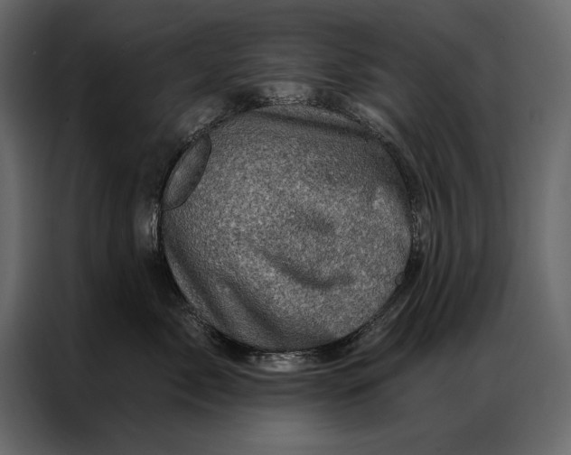 X0000087000717200705071506