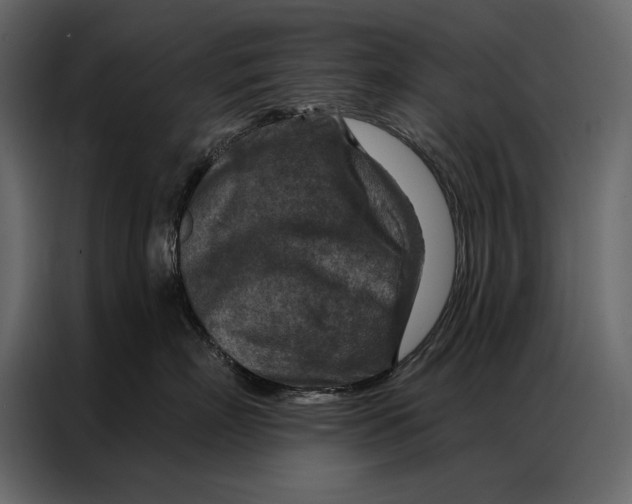 X0000087000718200705071506