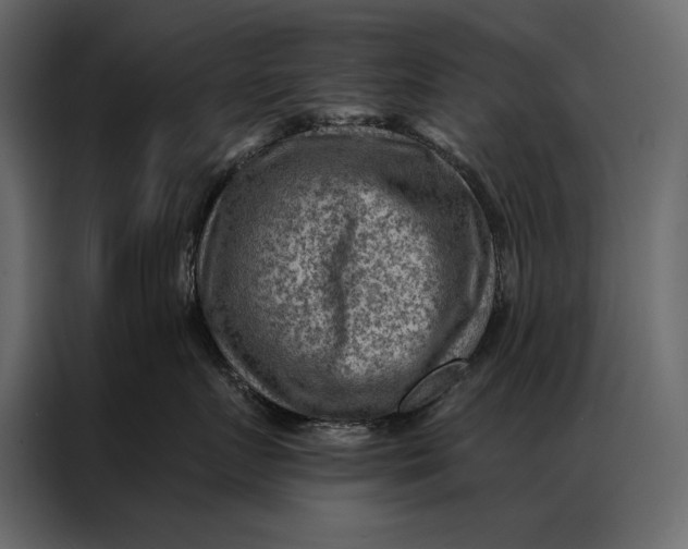 X0000087000719200705071506