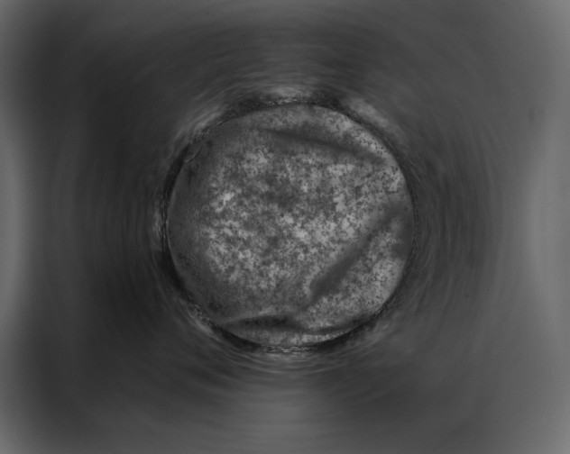 X0000087000720200705071506