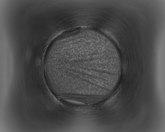 X0000087000721200705071505