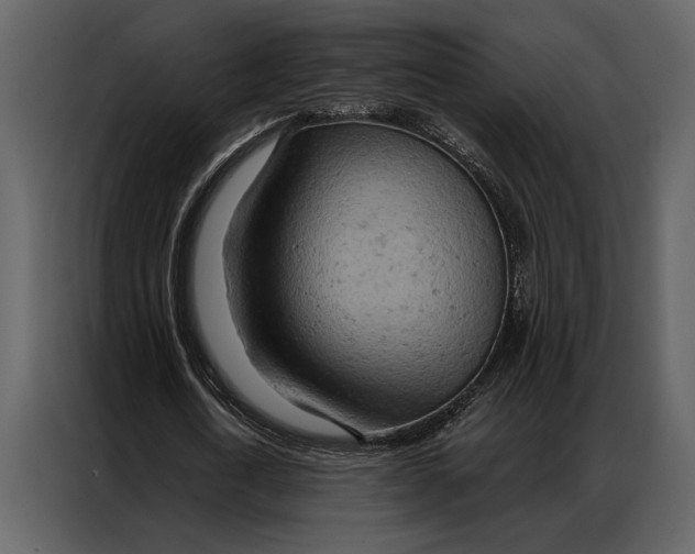 X0000087000722200705071505