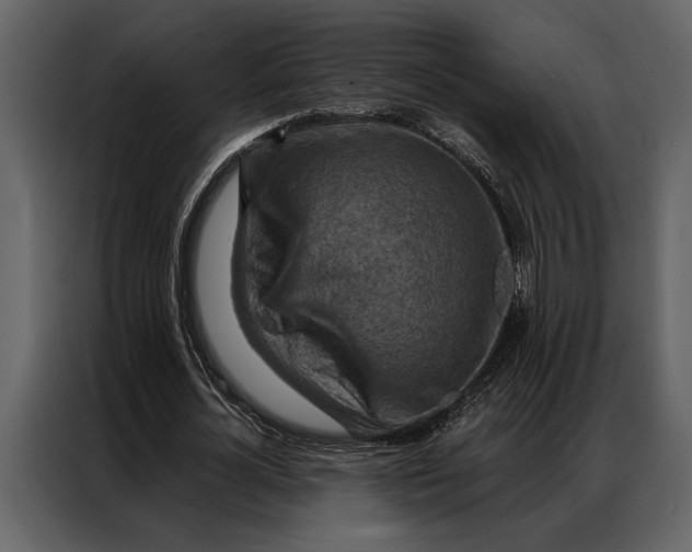 X0000087000724200705071505