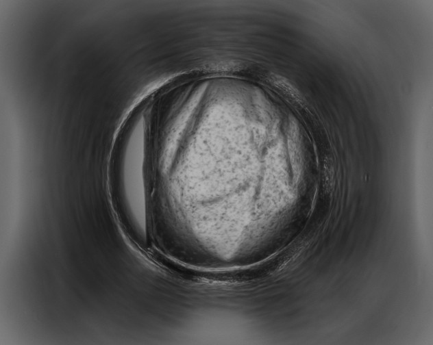 X0000087000726200705071505