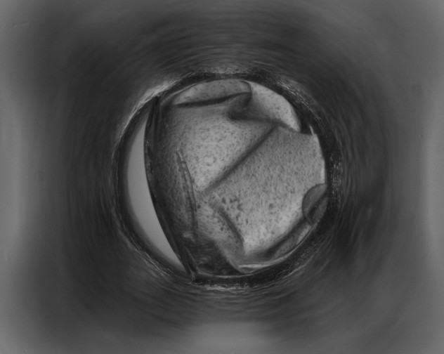 X0000087000727200705071505