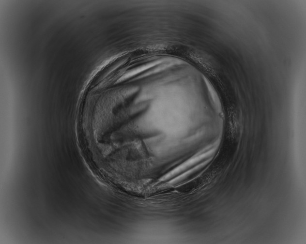 X0000087000728200705071505