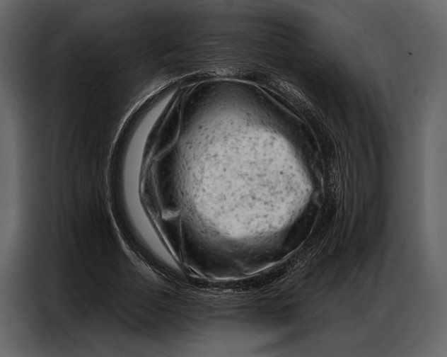 X0000087000730200705071505