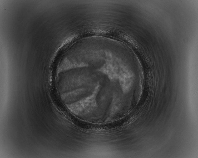 X0000087000731200705071505